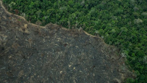 Projeto de lei “implode” licenciamento ambiental, diz especialista