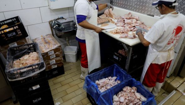 Prazo de 28 dias para Brasil ficar livre da gripe aviária começa hoje