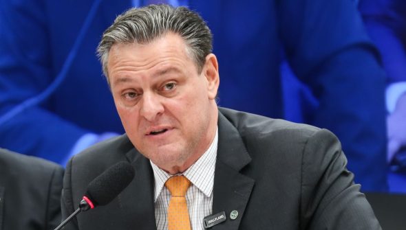 Gripe aviária não deve impactar preço da carne de frango, diz ministro