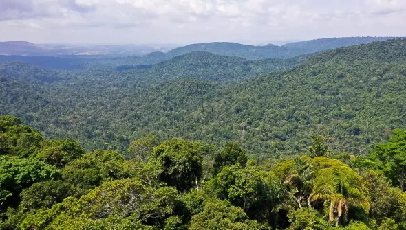 Instituto lança edital para projetos que protejam a Amazônia