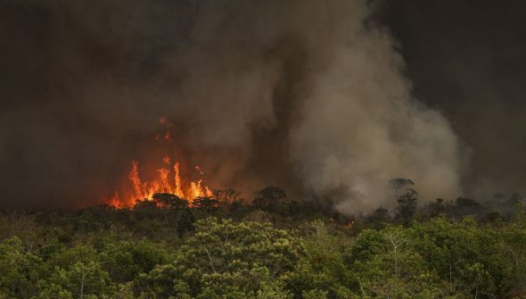Queimadas atingiram 30 milhões de hectares no país em 2024