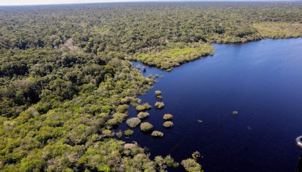 Fundo Amazônia bate recorde ao destinar mais de R$ 1 bilhão em 2025