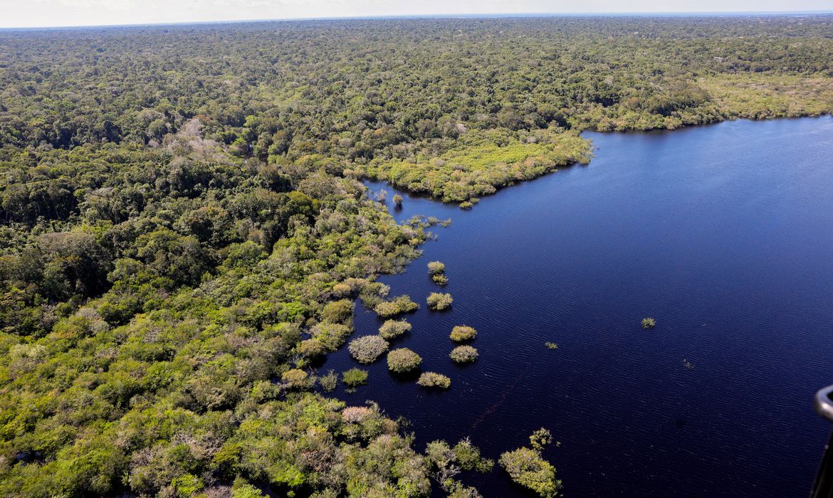 OAB Barro Preto - Fundo Amazônia bate recorde ao destinar mais de R$ 1 bilhão em 2025
