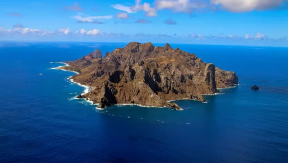 Ilha capixaba aumenta flora nativa e é modelo de restauração ambiental