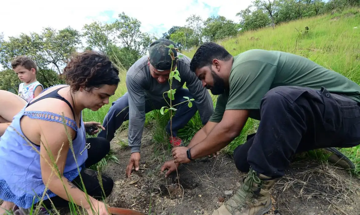 OAB Barro Preto - Rio: mutirão na Serra do Vulcão promove ações climáticas da periferia