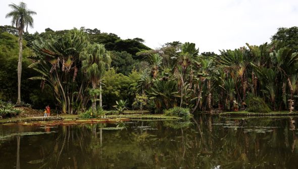 Concurso de Fotografia integra programação do Dia Mundial da Limpeza