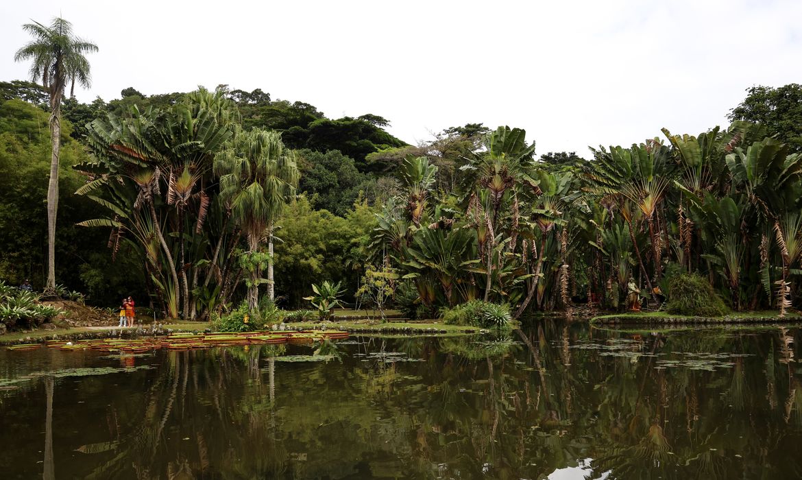 OAB Barro Preto - Concurso de Fotografia integra programação do Dia Mundial da Limpeza
