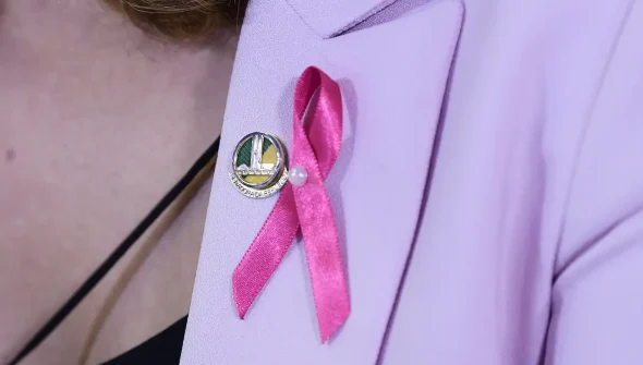 Hoje é Dia destaca Outubro Rosa, dia dos idosos e proteção aos animais