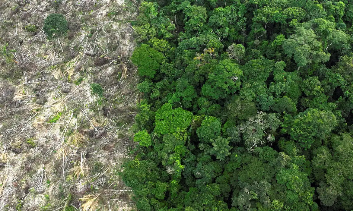 OAB Barro Preto - Pesquisa mede impacto de mudanças do clima e desmatamento na Amazônia