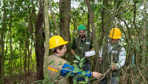 Itaipu triplica diversidade florestal nos arredores do reservatório