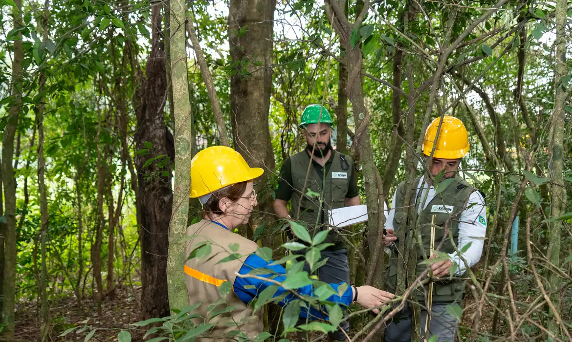 OAB Barro Preto - Itaipu triplica diversidade florestal nos arredores do reservatório