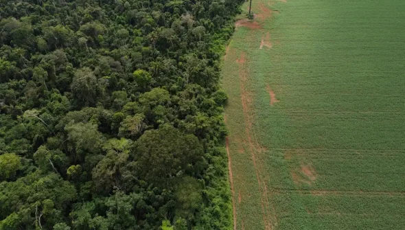 Brasil apresenta soluções de financiamento climático em Nova York
