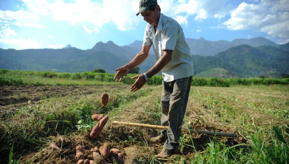 BNDES vai liberar R$ 12 bi para produtores rurais com perdas de safra