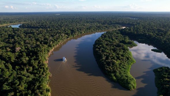 Extrativismo sustentável na Amazônia é tema do Caminhos da Reportagem