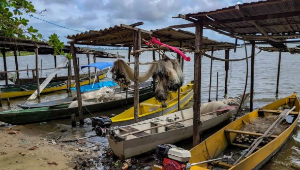 Início do defeso da piracema restringe pesca comercial no país