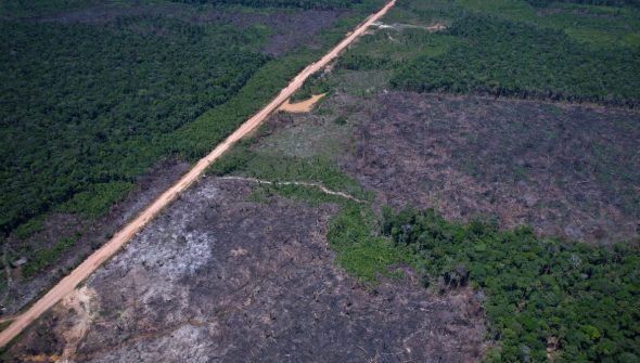 Vias ilegais perto da BR-319 avançam em áreas protegidas na Amazônia