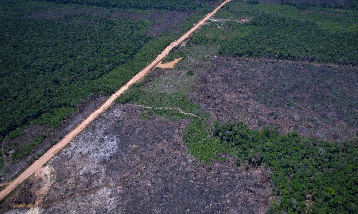 OAB Barro Preto - Vias ilegais perto da BR-319 avançam em áreas protegidas na Amazônia