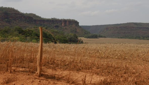 Fronteira Cerrado: acesso desigual ao Estado agrava conflitos agrários