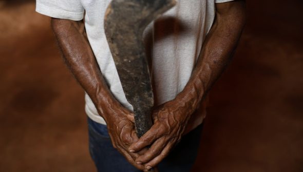 Fronteira Cerrado: desmatamento gera conflitos por terra e grilagem