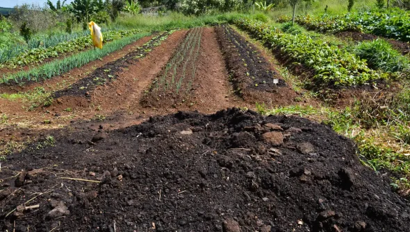 CMN amplia socorro a produtores afetados pelo clima