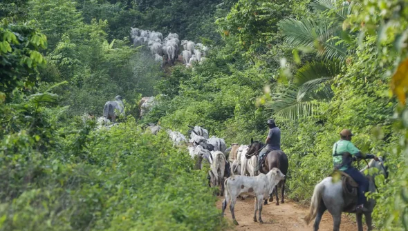 Vaqueiro contratado pelo Ibama é morto em terra indígena no Pará