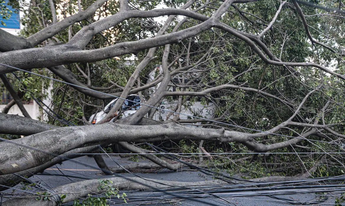 OAB Barro Preto - Volta a chover em São Paulo e número de pessoas sem luz aumenta