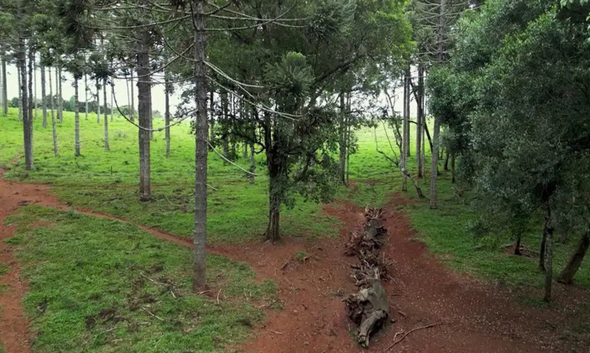 OAB Barro Preto - Produção inédita resgata histórico Caminho do Peabiru na TV Brasil