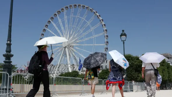 Europa: temperatura alta pode elevar transmissão do vírus Chikungunya