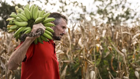 Câmara aprova uso de recursos do FGO em operações do Pronaf