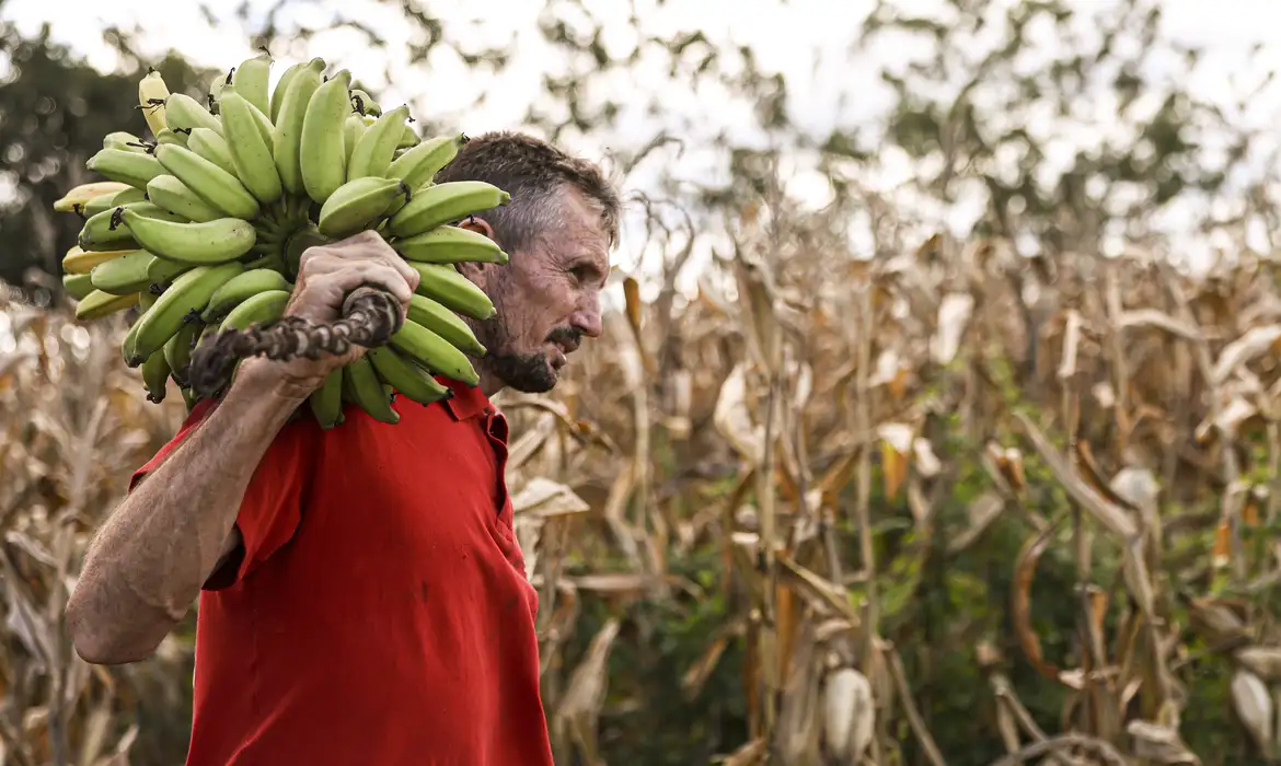 OAB Barro Preto - Câmara aprova uso de recursos do FGO em operações do Pronaf