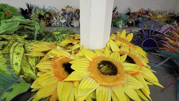 Projeto reaproveita fantasias da Sapucaí para novos foliões