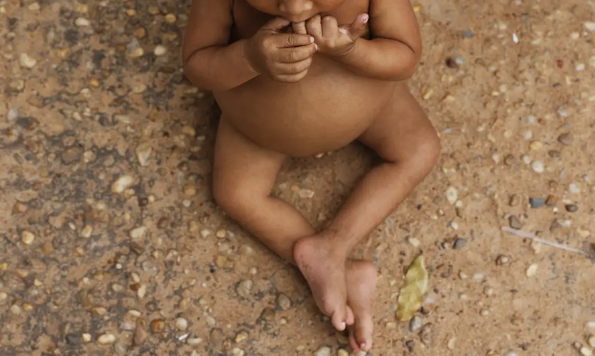 OAB Barro Preto - Vulnerabilidade reduz altura média de crianças indígenas e nordestinas