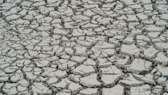 Estiagem: quinze cidades têm situação de emergência decretada