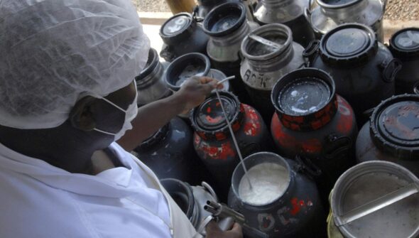 CMN libera linha de capital de giro a cooperativas de leite no Pronaf