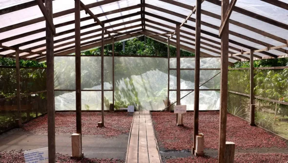 Edital seleciona projetos de inovação no Amazonas, Pará e Rondônia