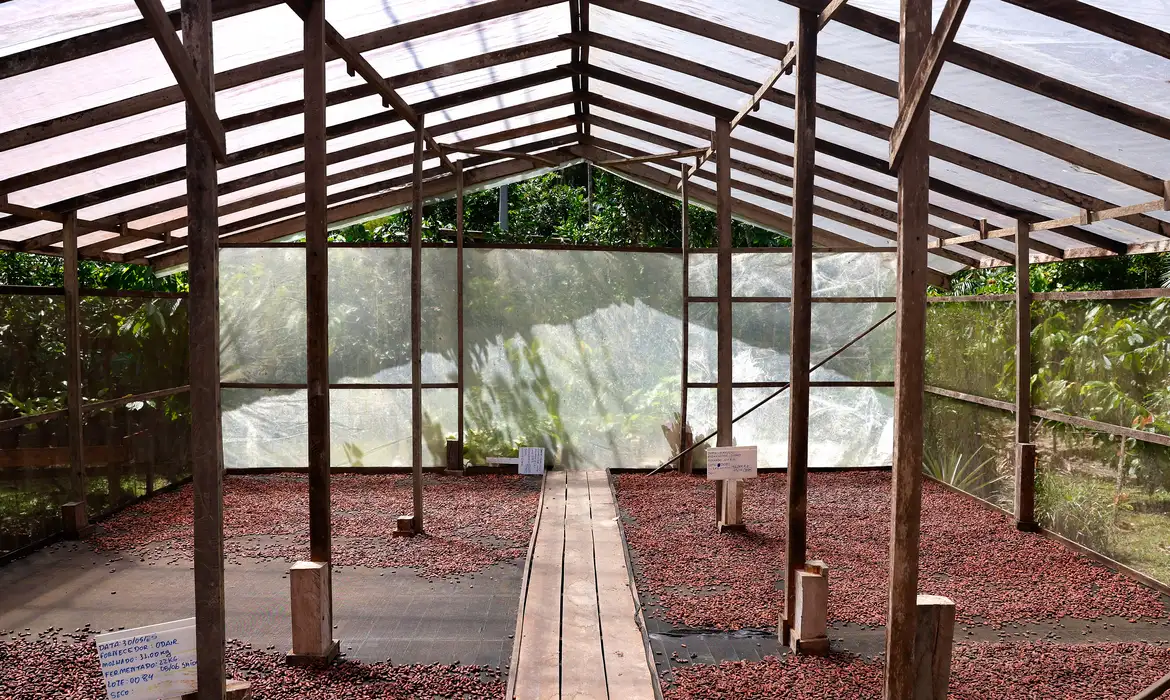 OAB Barro Preto - Edital seleciona projetos de inovação no Amazonas, Pará e Rondônia