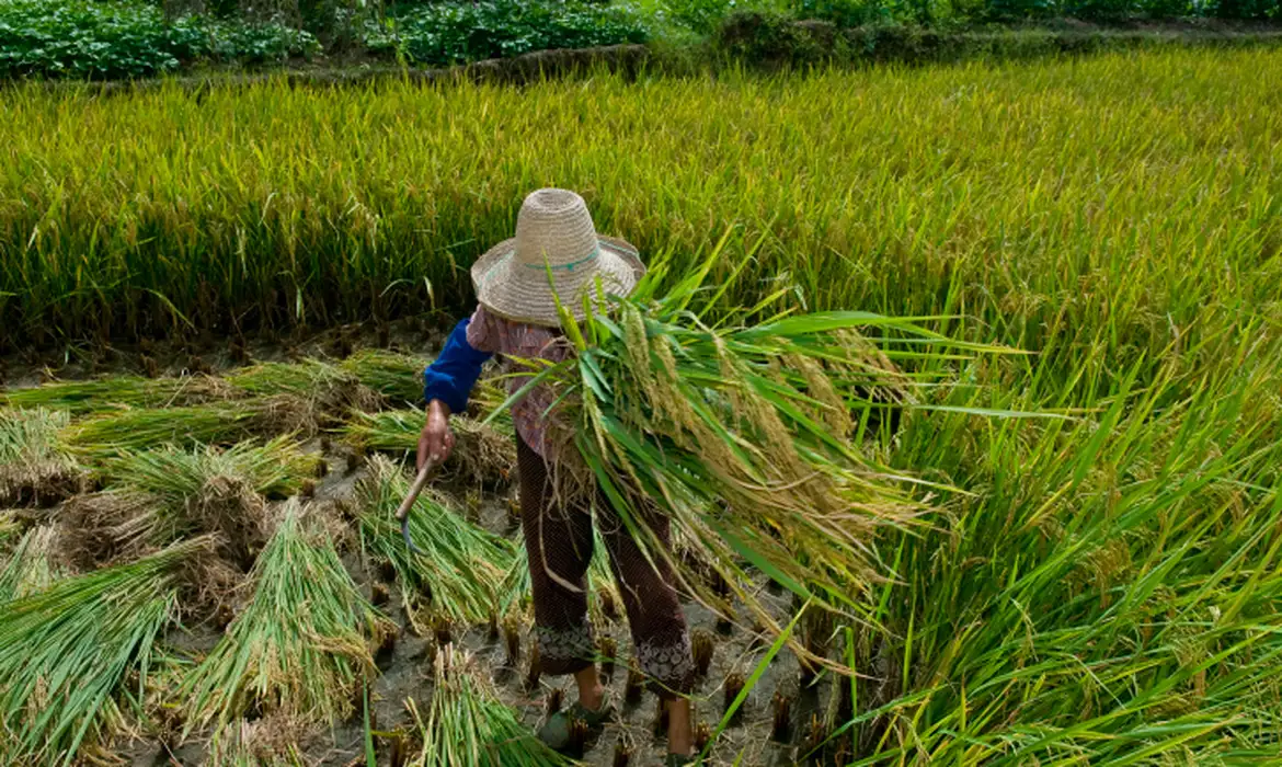 OAB Barro Preto - Garantia de direitos trabalhistas no campo ainda enfrenta desafios