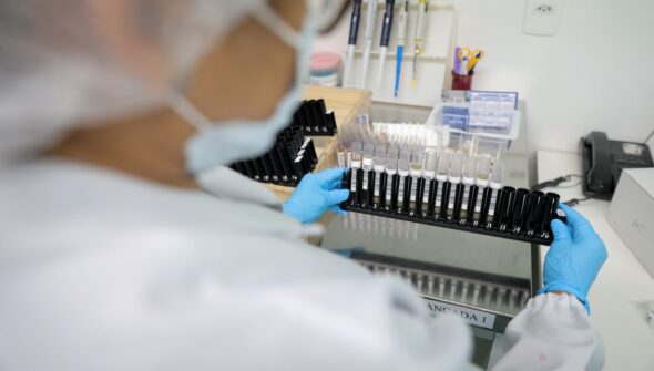 Fiocruz obtém patente para tratamento contra malária resistente