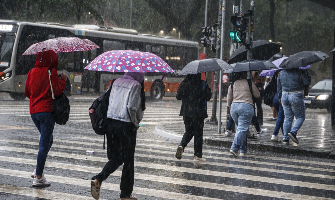 OAB Barro Preto - Norte e Sudeste devem começar semana com chuva forte, prevê Inmet