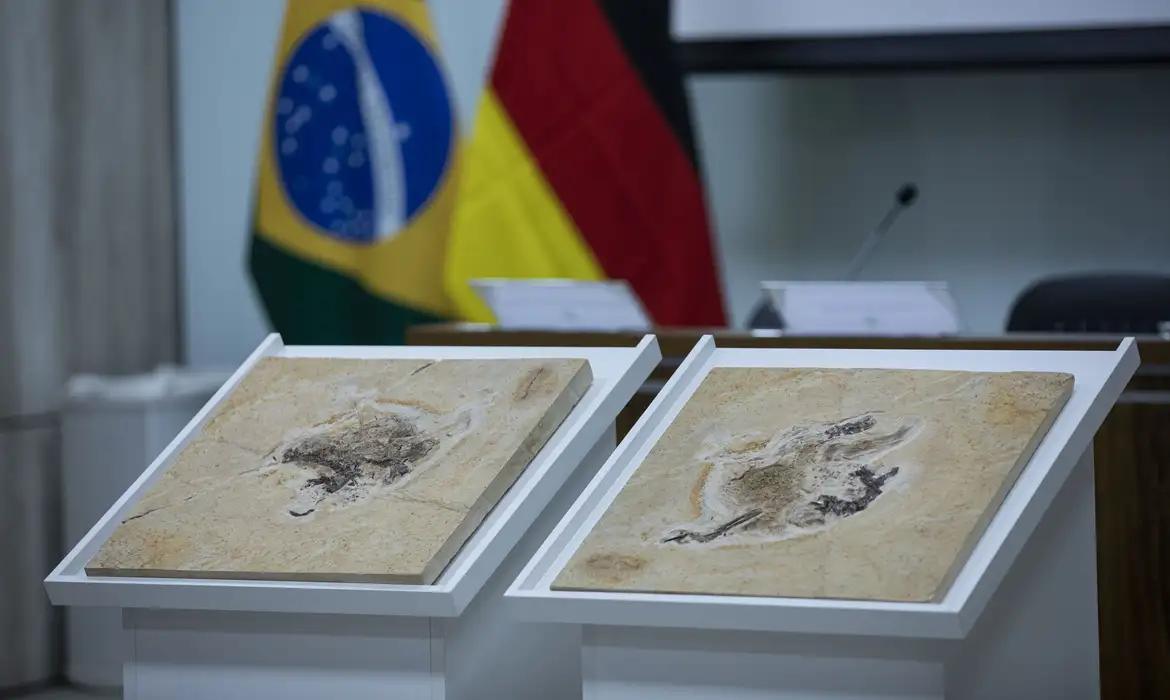 OAB Barro Preto - Brasil quer recuperar dinossauros e patrimônios que estão em 14 países