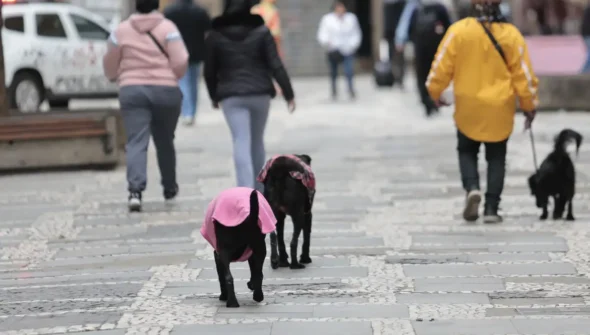 Semana começa com frente fria e chance de tempestade no Sul do País