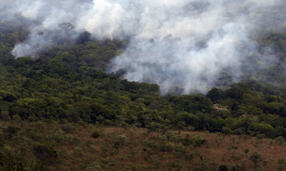 OAB Barro Preto - Copernicus: emissão global de gases por incêndios é a menor em 24 anos