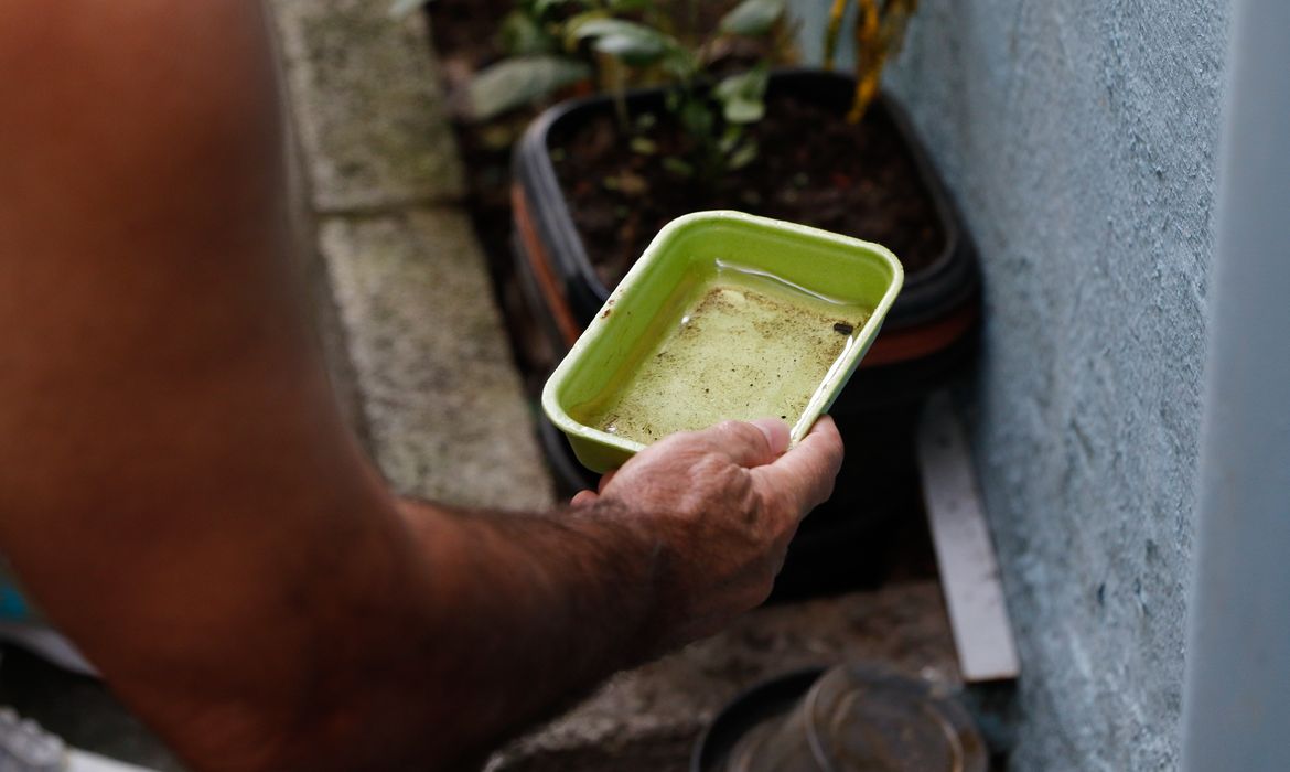OAB Barro Preto - El Niño pode aumentar casos de chikungunya e dengue no Brasil