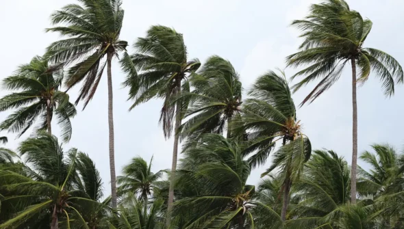 Ventos provocam danos na Costa Verde e na região serrana do RJ