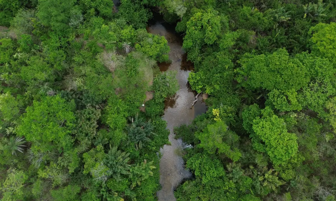 OAB Barro Preto - Área queimada no Brasil fica 31% abaixo da média histórica em 2025
