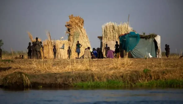 Fome mundial atinge 645 milhões de pessoas, diz relatório da ONU