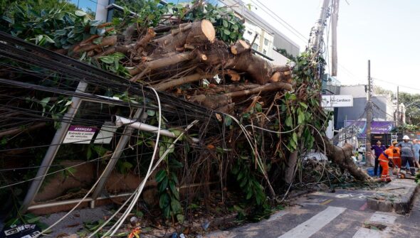 Ventania em RJ, SP e RS expõe falhas na resposta a extremos climáticos