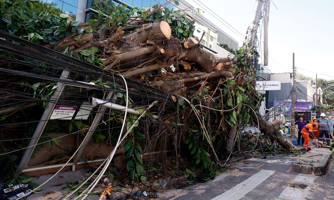 OAB Barro Preto - Ventania em RJ, SP e RS expõe falhas na resposta a extremos climáticos