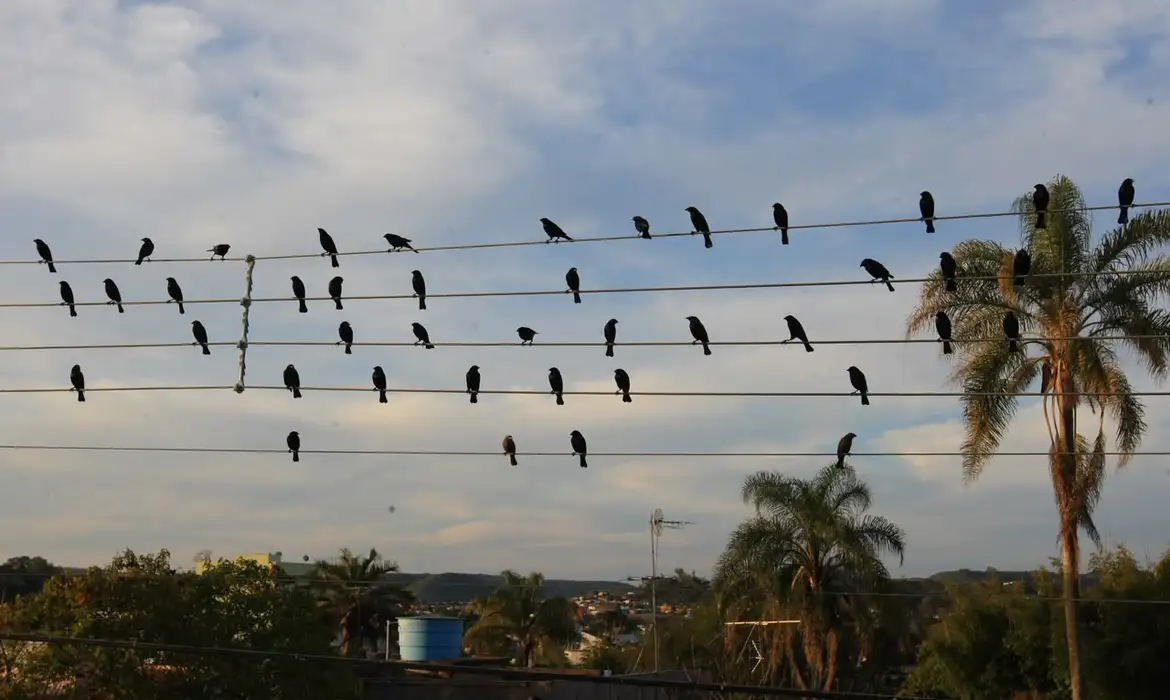 OAB Barro Preto - Fotografia feita há 17 anos inspira campanha vencedora do Leão de Ouro