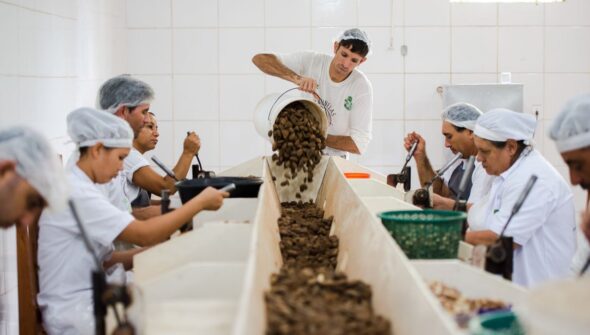 Consulta sobre bens sustentáveis no acordo Mercosul–UE acaba na quarta